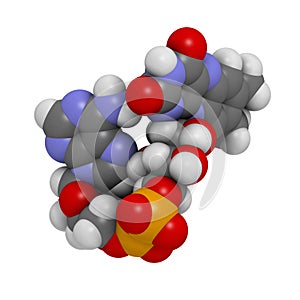 Flavin adenine dinucleotide (FAD) redox coenzyme molecule photo