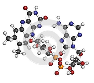 Flavin adenine dinucleotide (FAD) redox coenzyme molecule photo