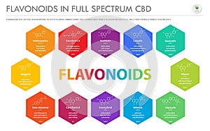 Flavonoids in Full Spectrum CBD with Structural Formulas horizontal business infographic photo