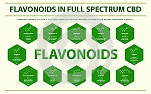 Flavonoids in Full Spectrum CBD with Structural Formulas horizontal infographic