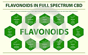 Flavonoids in Full Spectrum CBD with Structural Formulas horizontal infographic photo