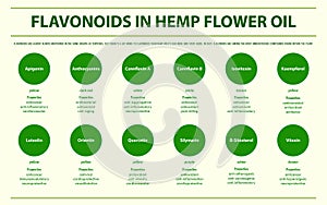 Flavonoids in Hemp Flower Oil horizontal infographic