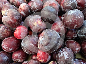 Flavor King pluot, Prunus 'Flavor King'