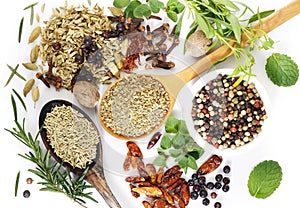 flavoring herbs and spices on white background