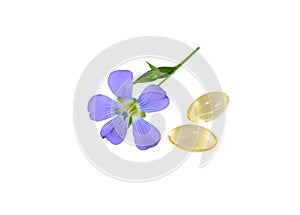 Flax Flower and capsules