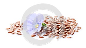 Flax flower with seeds on white background