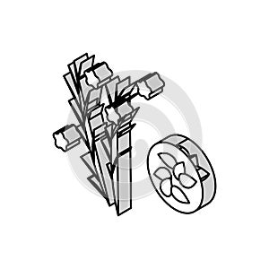flax groat isometric icon vector illustration photo