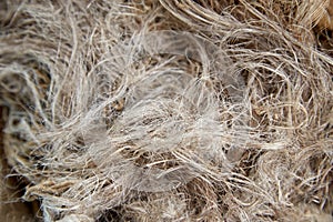 Flax is processed and prepared flax fibers, threads and fabrics