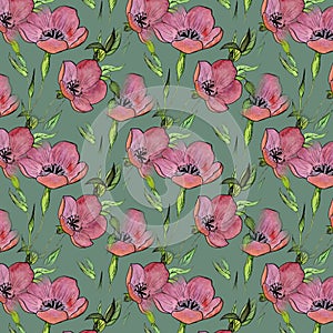 Red linum flower watercolor pattern