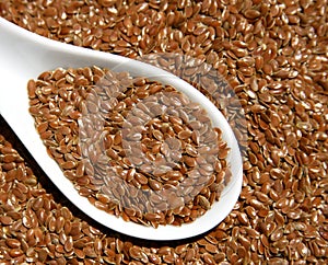 Flax Seed photo