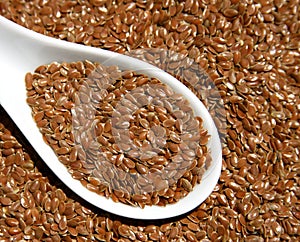 Flax Seed