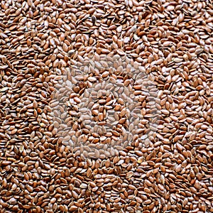 Flax seed background
