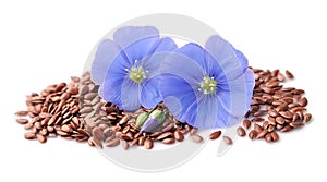 Flax seed and flax flowers .