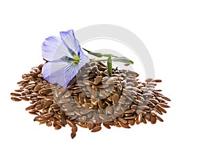 Flax seed, linseed