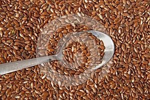 flax seed, linseed close up in the detail