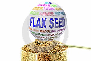 Flax seed related keywords globe with flax seed