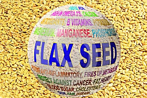 Flax seed related keywords globe with flax seed