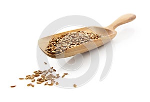 Flax seed