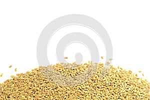 Flax seed in white background