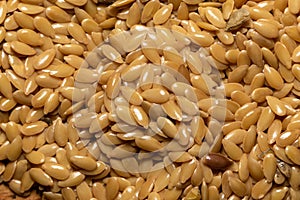 Flax seeds close-up. Macro photo. View from above
