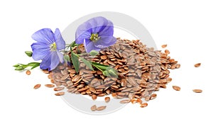 Flax seeds with flower isolated on white background. flaxseed or linseed. Cereals.