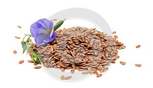 flax seeds with flower isolated on white background. flaxseed or linseed. Cereals.
