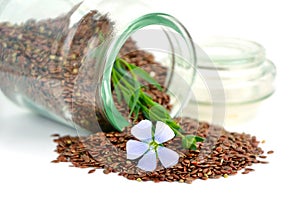 Flax seeds and flowers.