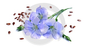 Flax seeds with flowers