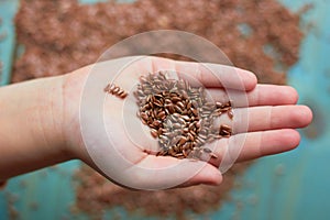 Flax seeds in hand