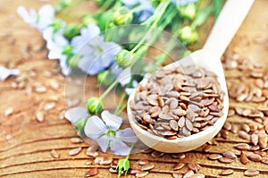 Flax seeds with linseed oil and blue linum flowers