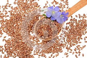 flax seeds in wooden spoon with flower isolated on white background. flaxseed or linseed. Cereals. top view