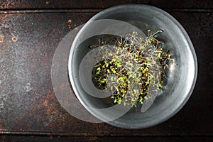 Flax sprouts in a bowl on a metal table copy space