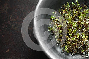 Flax sprouts in a bowl on a metal table top view