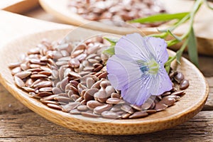 Flaxseed with its flower