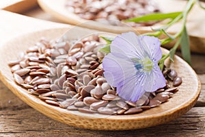 Flaxseed with its flower photo