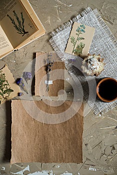 Flay lay, top view of the herbarium, dried lavender flowers, notebook, book for notes, pen and spring summer pictures on a concret