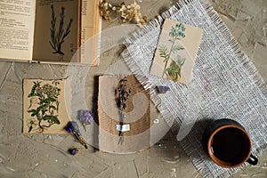 Flay lay, top view of the herbarium, dried lavender flowers, notebook, book for notes, pen and spring summer pictures on a concret