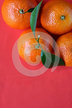 Flay lay view of fresh ripe mandarin oranges