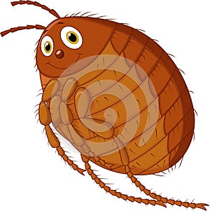Flea cartoon