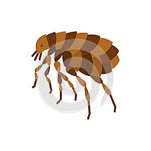 Flea insect parasite single flat color vector icon