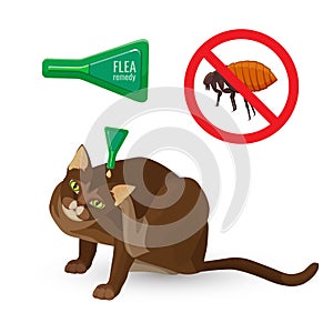 Flea remedy poster with headline and cat vector illustration