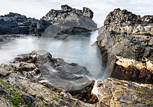 Flee on rocks of the coastal edge photo