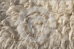 Fleece white,Close up of fleece, exture background