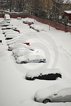 Fleet of cars