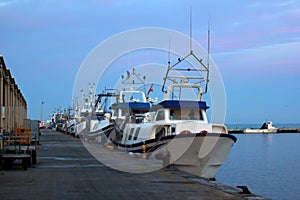 Fleet of fishing boats docked at the Santa Pola harbor at dawn