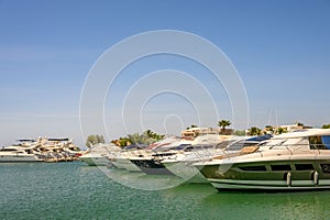 Fleet of large white boats are moored in a serene coastal bay, the sun glinting off their hulls