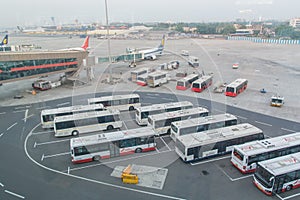 Fleet of passenger buses at the airport