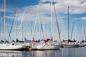 Fleet of sail boats docked on the water.