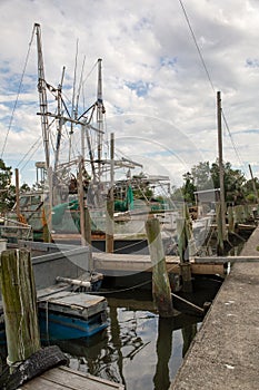 Fleet of shrimping boats.