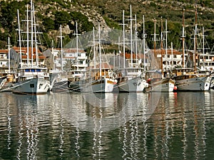 Fleet of tourist boats